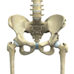 Periacetabular Osteotomy